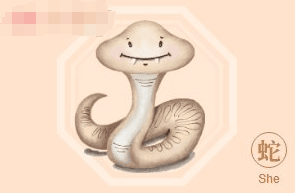 Chinese Zodiac：2025 Year of the Snake