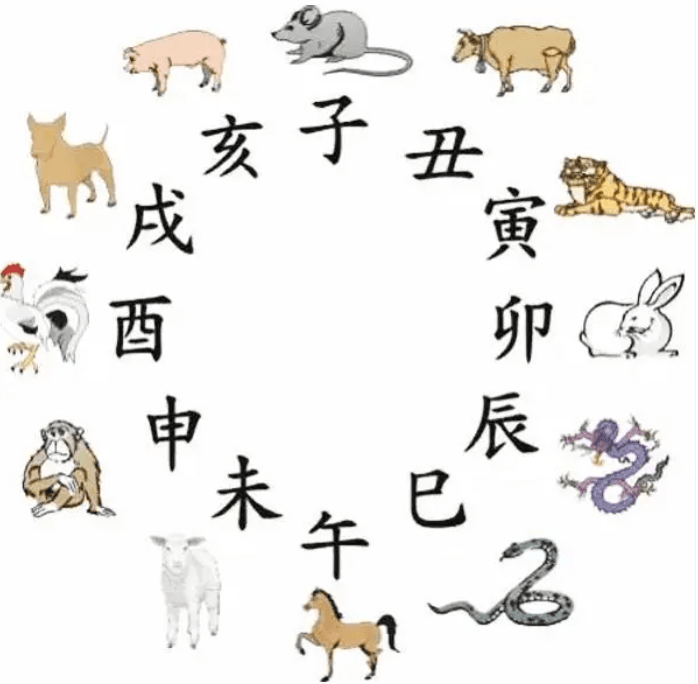 Chinese Zodiac：2025 Year of the Snake