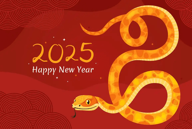 What are the customs of the Chinese Year of the Snake in 2025?