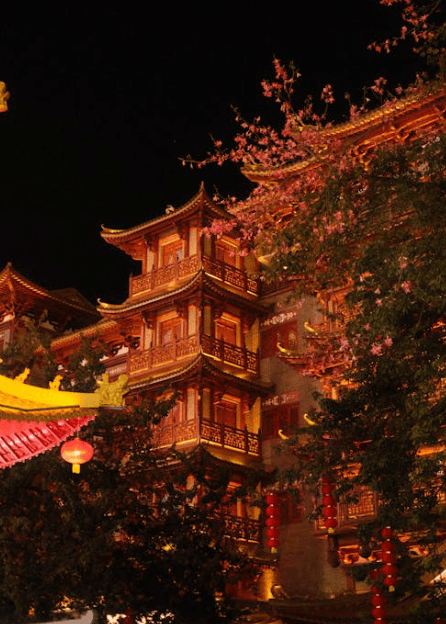 China Entry Requirements 2025