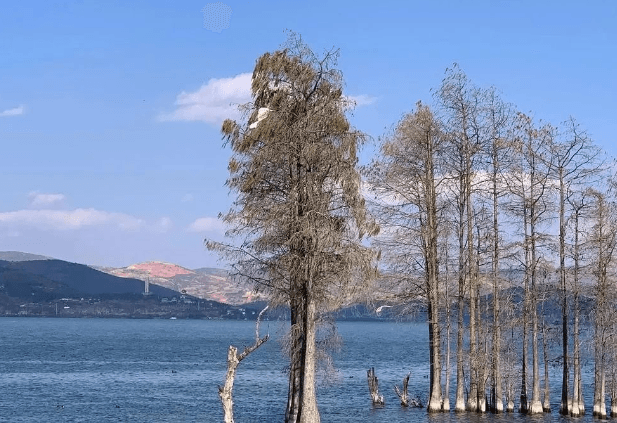 Top 10 Best Places to Travel in China | Must-See Natural Wonders