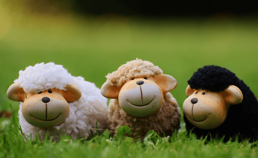 Chinese Zodiac Year 2015: Sheep's fortune in 2025