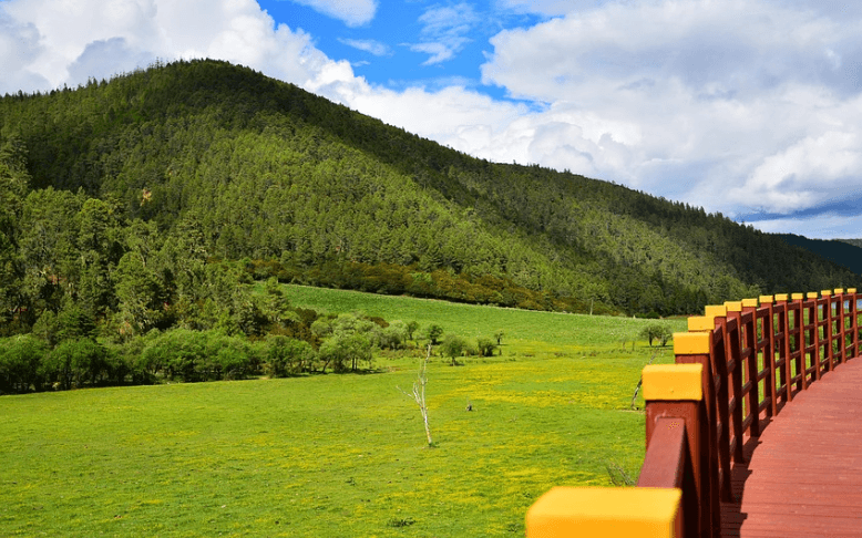 Shangri-La Yunnan Altitude: Travel Tips for High Elevation